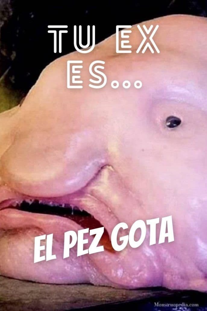 Ilustración: Pez gota