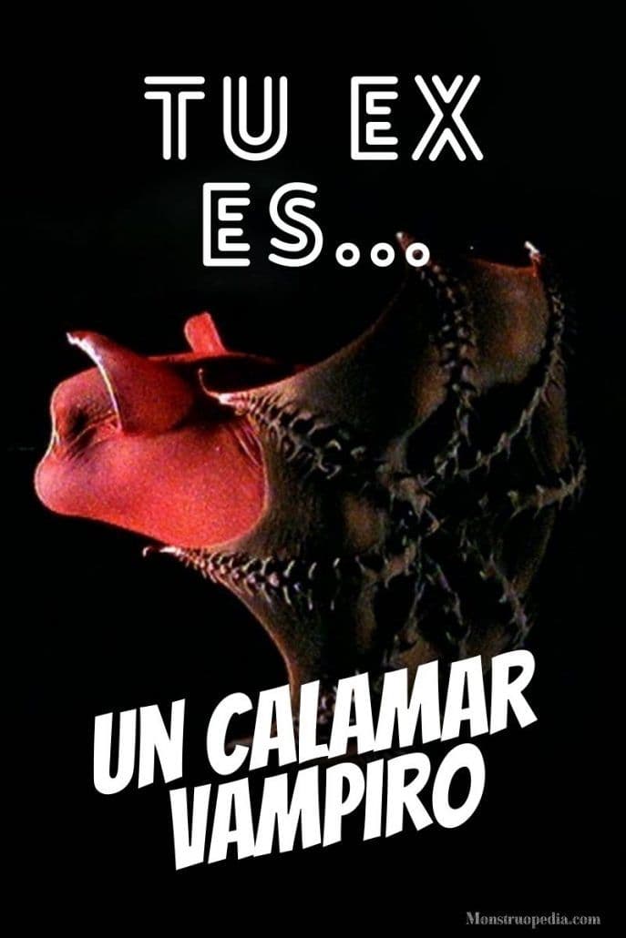 Ilustración: Calamar vampiro