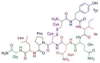 oxitocina