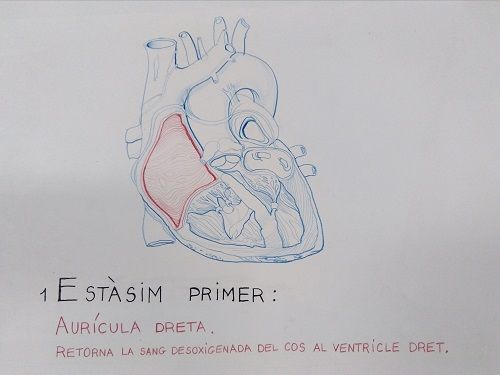 el pensamiento del corazon